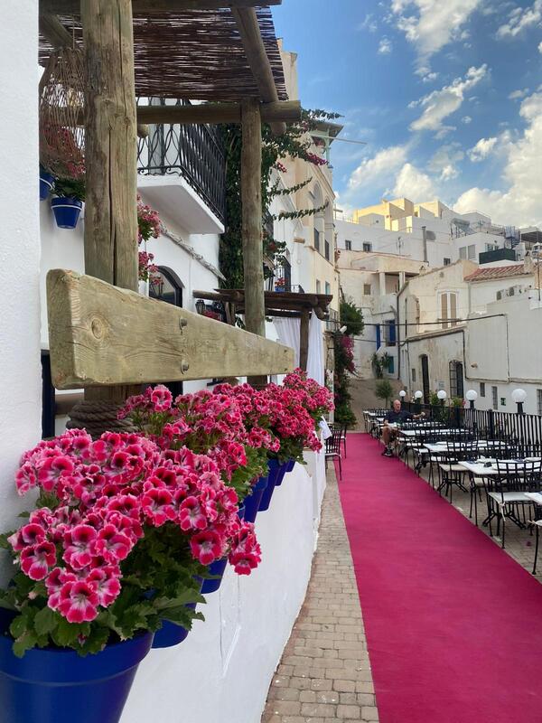 Vista de la terraza